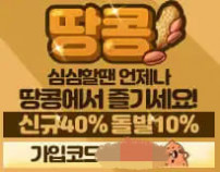 땅콩먹튀검증