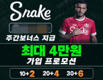 스네이크먹튀검증